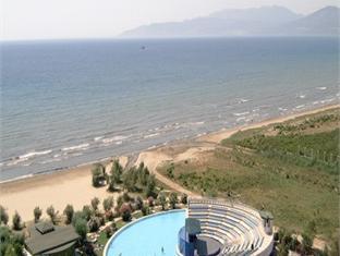 هتل پالم وینگز افسوس